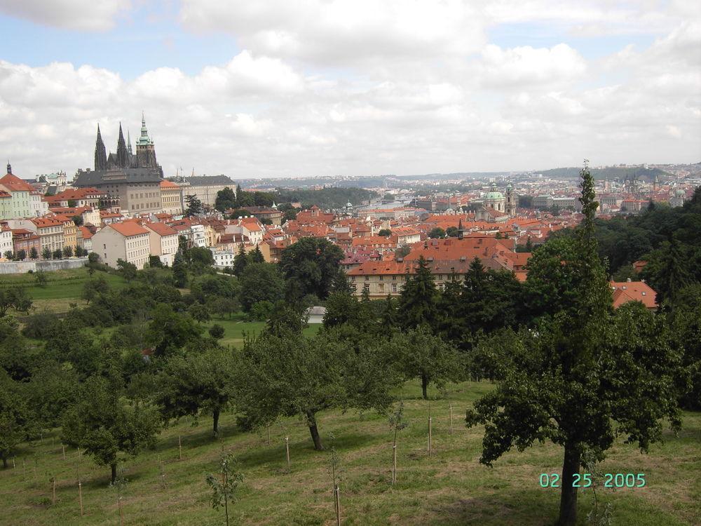 Little Town Budget Hotel Praag Buitenkant foto